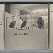 Centro vitale 1970